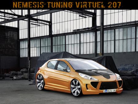 petite 207 virtuel