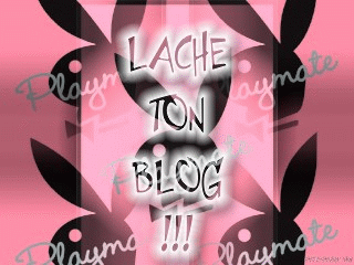 voila lache ton blog ici