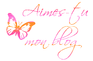aimez vous mon blog